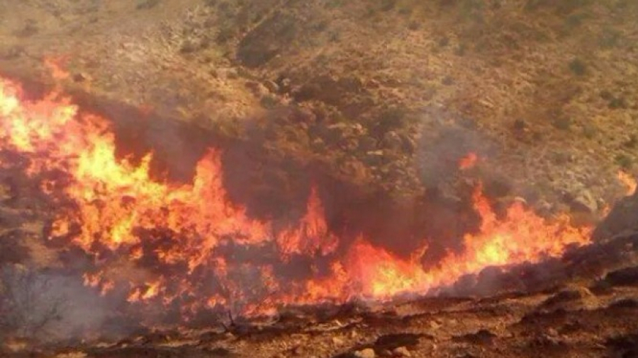 الوسلاتية: اندلاع حريق بجبل السرج.. الوسلاتية: اندلاع حريق بجبل السرج..