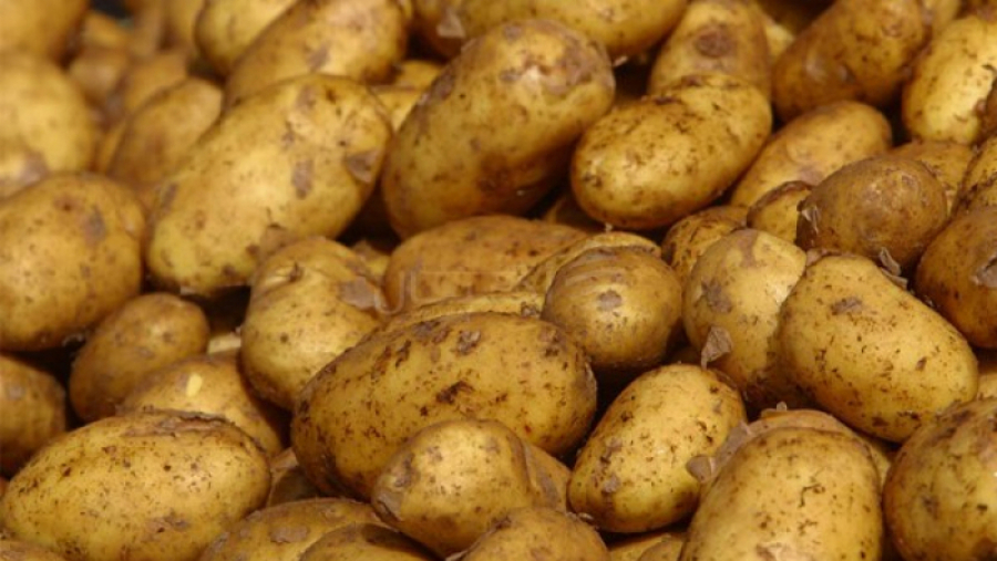 منوبة: حجز 31 طنا من البطاطا بمخزن تبريد منوبة: حجز 31 طنا من البطاطا بمخزن تبريد