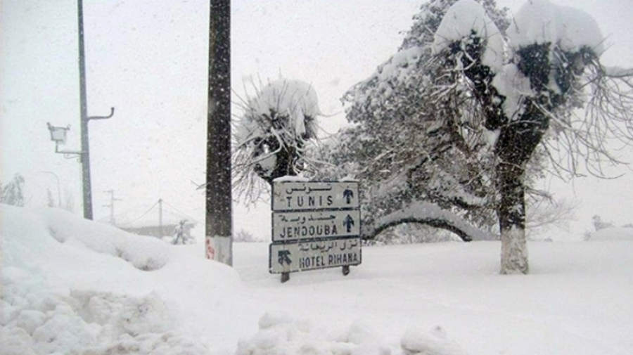 أمطار وثلوج وانخفاض درجات الحرارة.. المواصفات الشتوية قادمة أمطار وثلوج وانخفاض درجات الحرارة.. المواصفات الشتوية قادمة