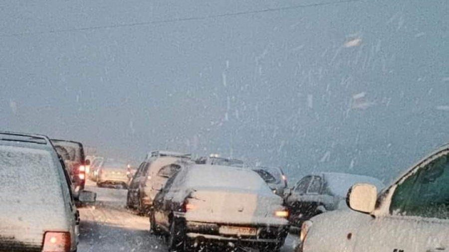 ثلوج هائلة في الجزائر: رحلات جوية متوقّفة.. سكان محاصرون والجيش يتدخّل ثلوج هائلة في الجزائر: رحلات جوية متوقّفة.. سكان محاصرون والجيش يتدخّل