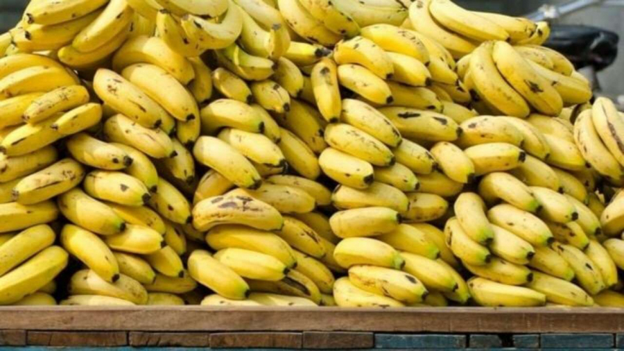 90 طنا من الموز داخل مخزن عشوائي بنعسان! 90 طنا من الموز داخل مخزن عشوائي بنعسان!