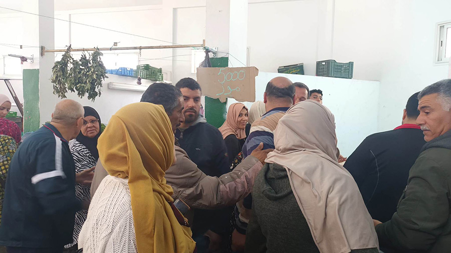 نفاد 270 كلغ من الموز في غضون ساعة ونصف بنقطة بيع من المنتج للمستهلك نفاد 270 كلغ من الموز في غضون ساعة ونصف بنقطة بيع من المنتج للمستهلك