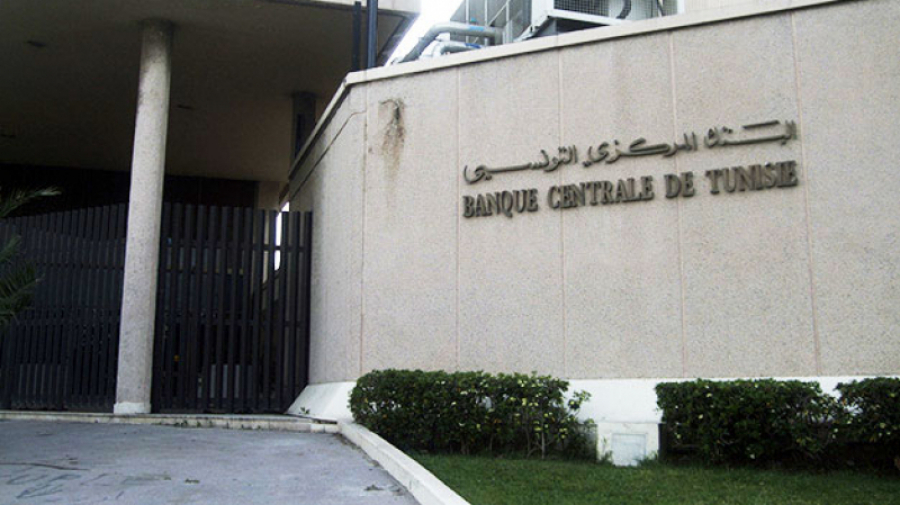 البنك المركزي: التعويل على تمويل البنوك للاقتصاد زاد من ضعف سيولتها