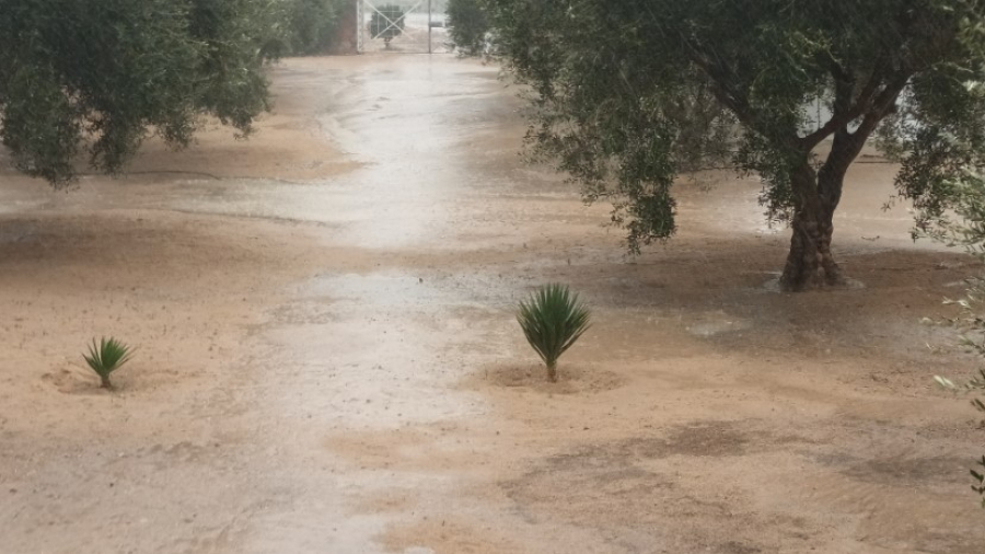 Après trois ans de sécheresse ... il pleut à Kairouan