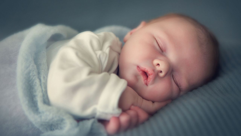 Bruxelles Un Arbre Sera Plante A Chaque Naissance D Un Bebe Mosaique Fm