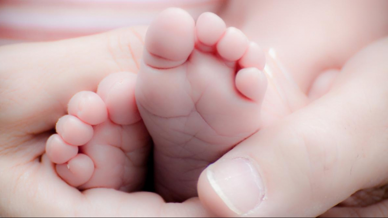 La Chine Annonce La Naissance De Deux Bebes Genetiquement Modifies Mosaique Fm