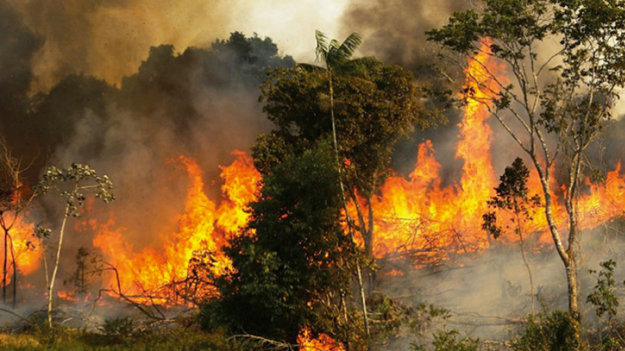 Béja : Un incendie se déclare à Ouechtata 