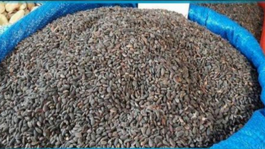 Bizerte : saisie de fruits secs et zgougou impropres à la consommation Bizerte : saisie de fruits secs et zgougou impropres à la consommation