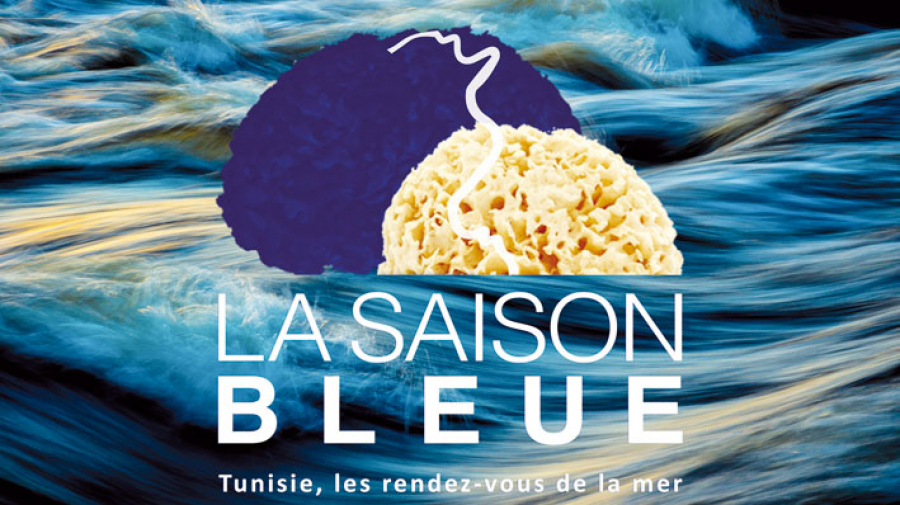 Blue Talks Starfish2030, ou quand l’étoile de mer brille de mille feux Blue Talks Starfish2030, ou quand l’étoile de mer brille de mille feux