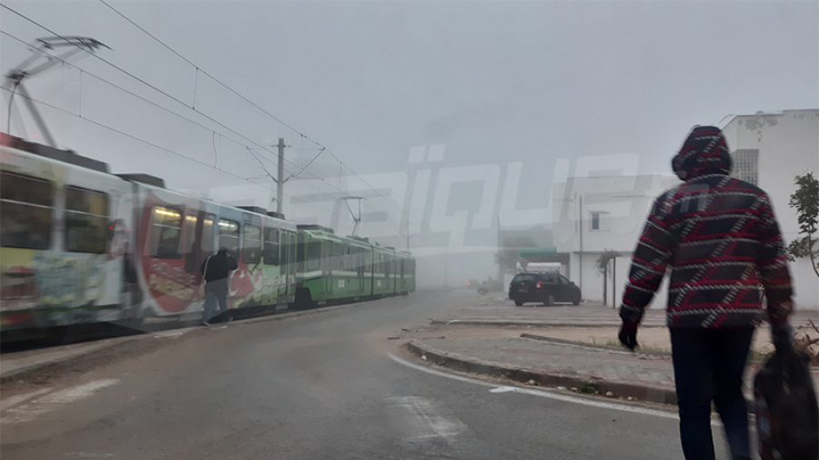 brouillard