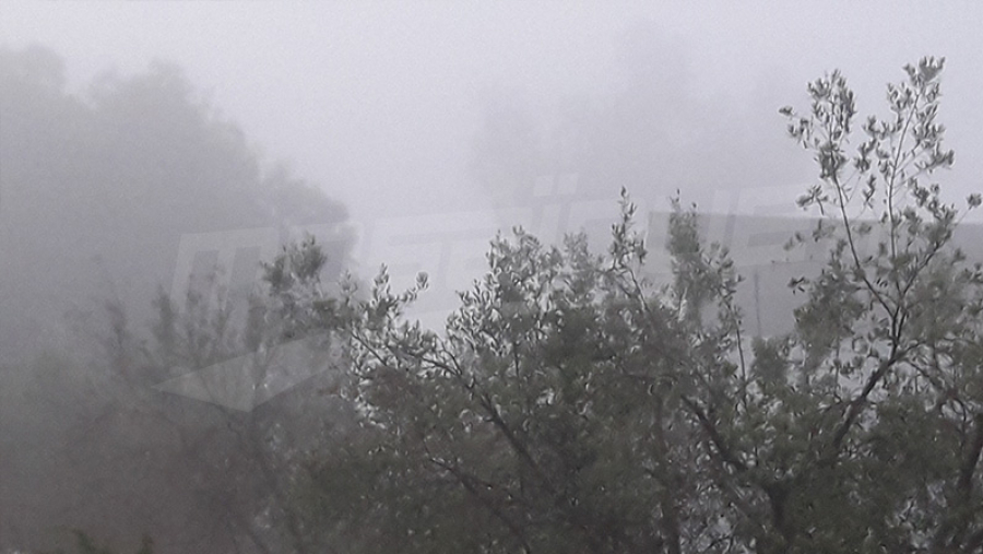 brouillard