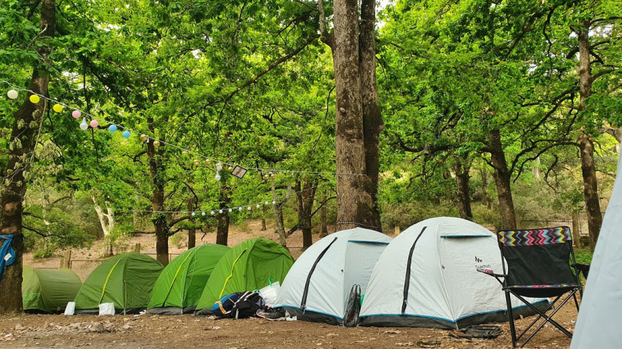 camping 