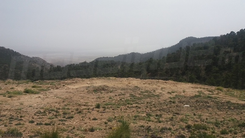 chaambi 