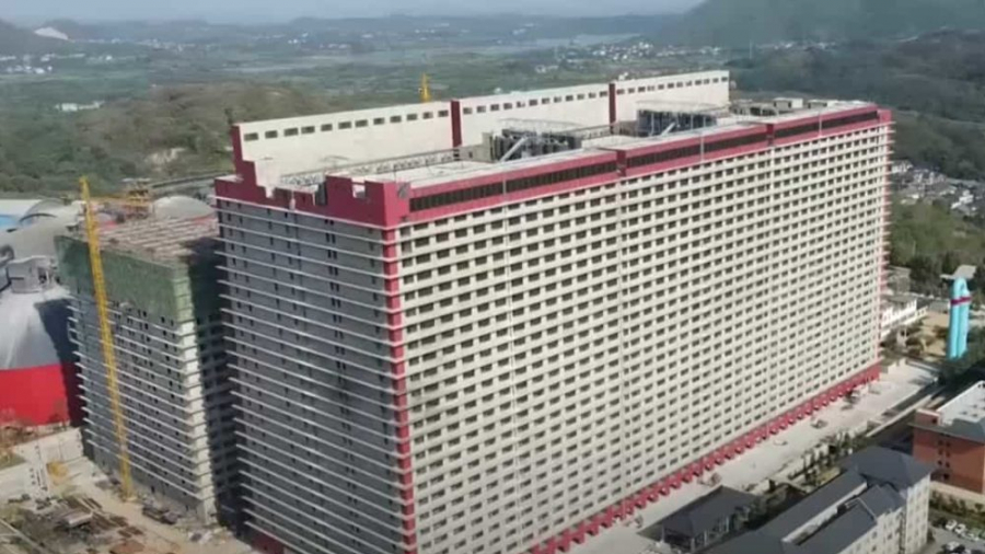 Chine : Ouverture du plus grand hôtel à cochons du monde Chine : Ouverture du plus grand hôtel à cochons du monde