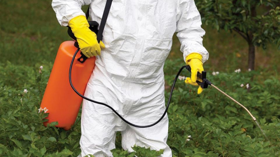 chlorpyrifos