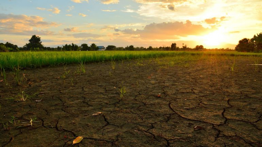 Climat