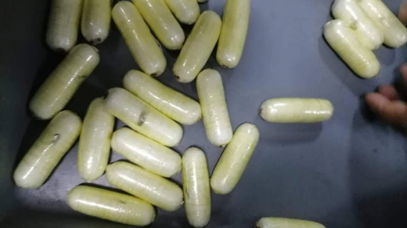 Elle cachait 300 grammes de cocaïne dans ses sous vêtements cocaïne
