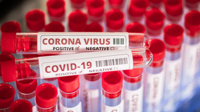 coronavirus 