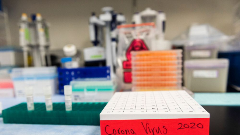Coronavirus 