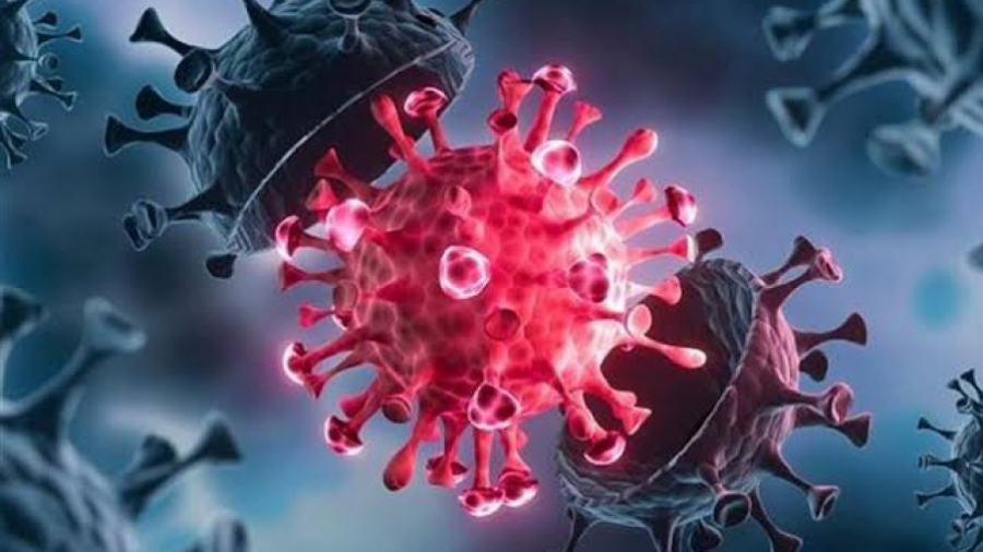 Coronavirus