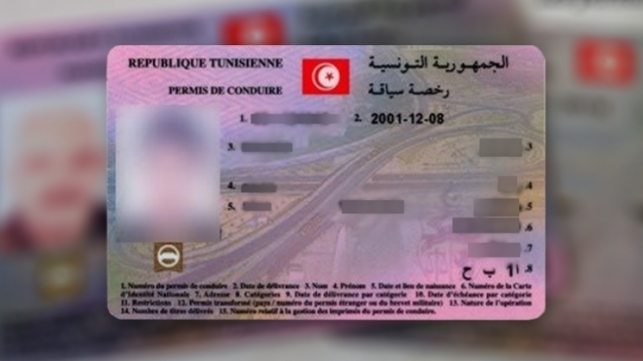 Des permis de conduire à 250 dinars : Deux personnes arrêtées 