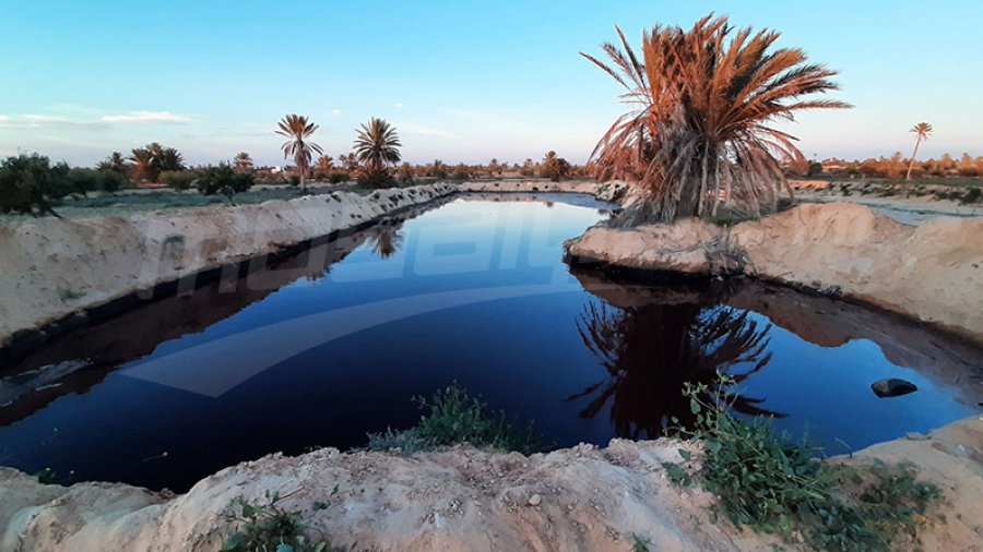 Djerba dit adieu aux sachets en plastique