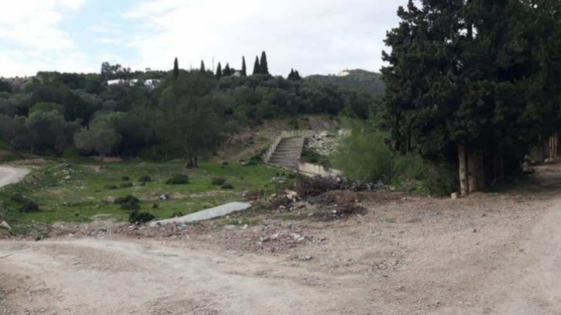 Raoued: Incendies et passage balisé pour des constructions anarchiques forêt