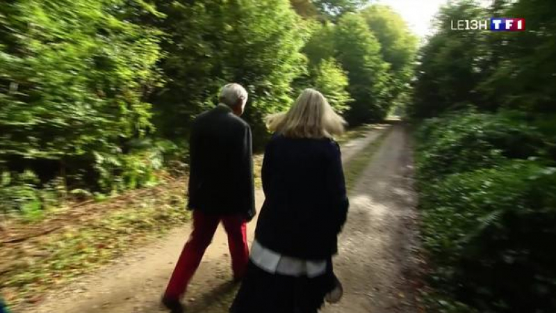 France: Verbalisé pour avoir uriné contre un arbre, il fait appel