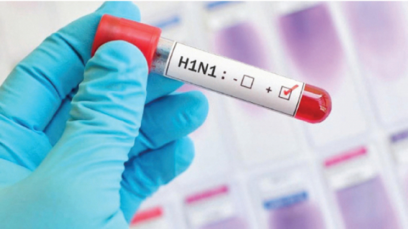 La grippe porcine fait une victime à Béja h1n1