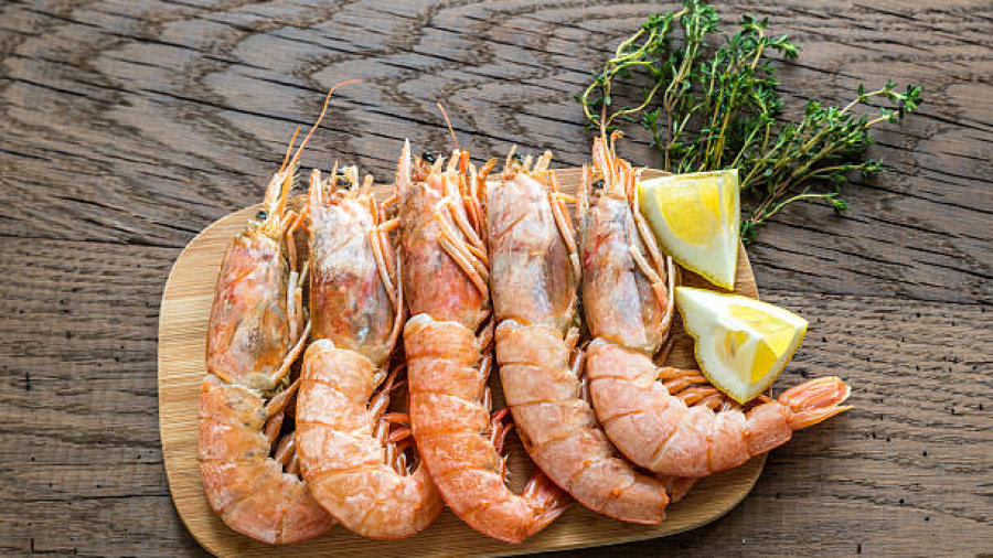 Hausse de la production des crevettes royales de 90% à Gabès 