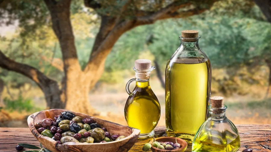 Hausse des recettes des exportations de l’huile d’olive 