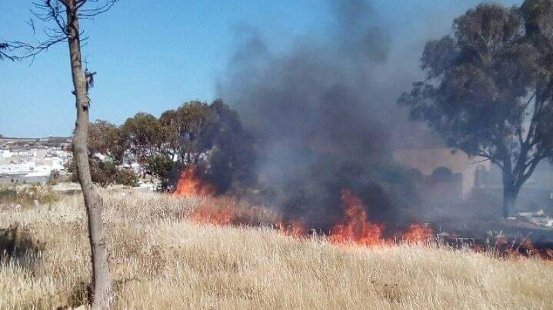 Béja: Deux incendies maîtrisés incendie