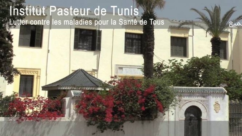 Institut Pasteur: Lancement de tests sérologiques SARS COV2