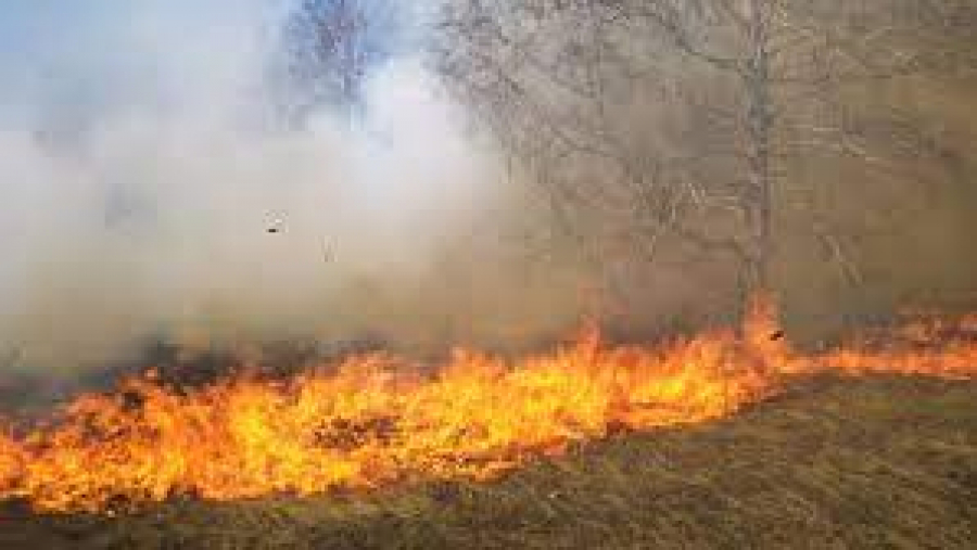 Kasserine : Un incendie à Sbeïtla maîtrisé