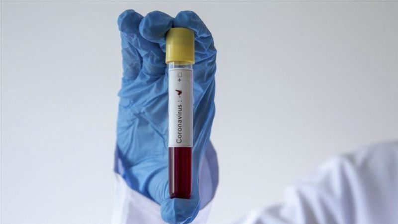 Kef: Un homme de retour d'Algérie atteint du coronavirus Kef