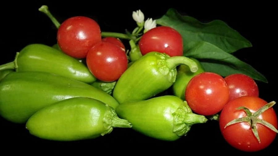 Kharbech : La production de tomates et du piment serait en baisse...