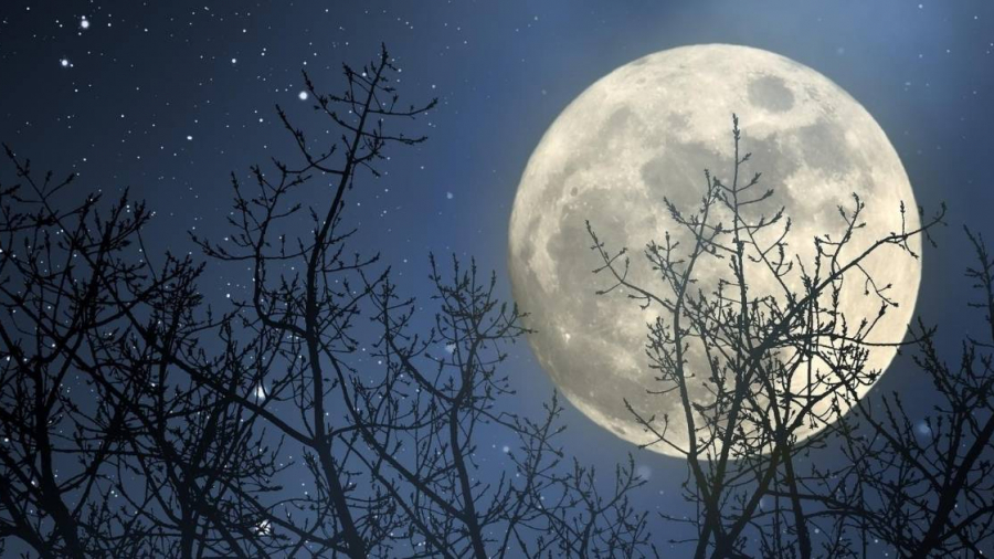 L'Australie veut faire pousser des plantes sur la lune