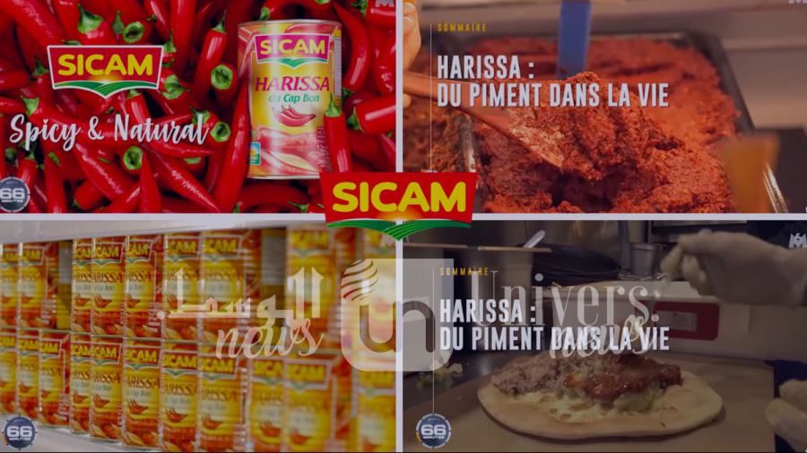 L’harissa tunisienne, objet d’un reportage sur M6 L’harissa tunisienne, objet d’un reportage sur M6