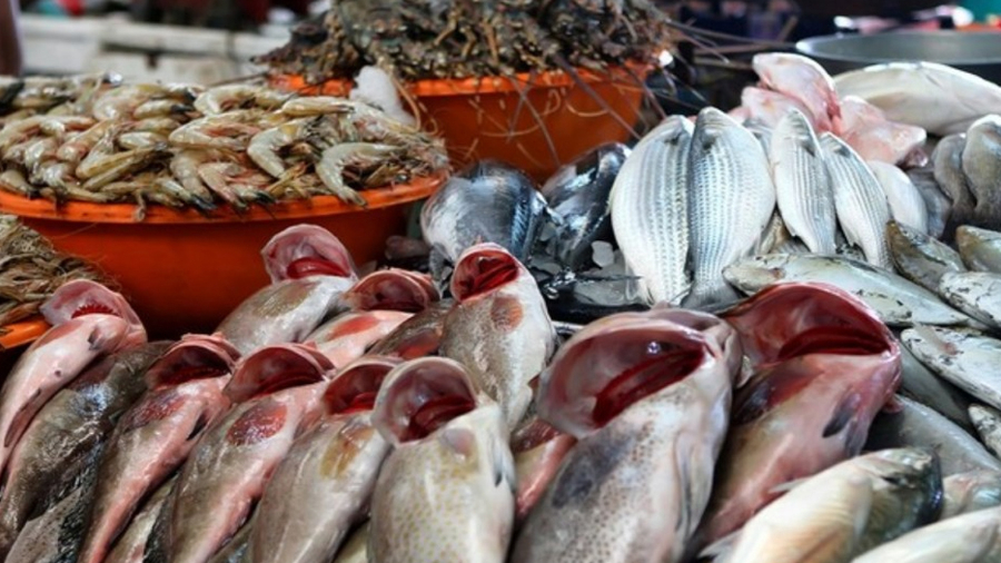 La Goulette: Saisie de fruits de mer pourris, un restaurateur arrêté 