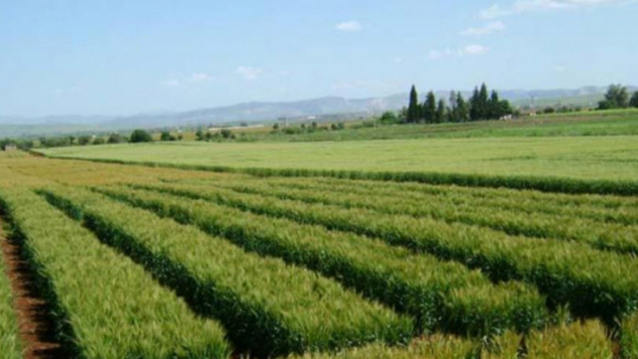 La valeur des investissements agricoles privés approuvés en baisse