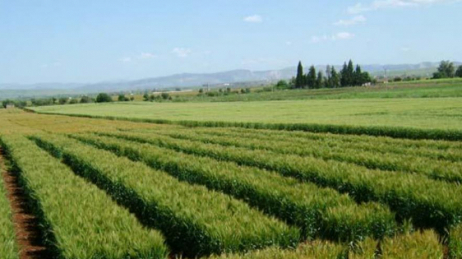 La valeur des investissements agricoles privés approuvés en hausse La valeur des investissements agricoles privés approuvés en hausse