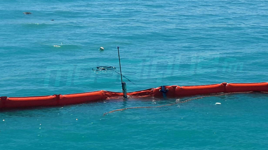Le XELO : Qualité...Suspect de la mer
