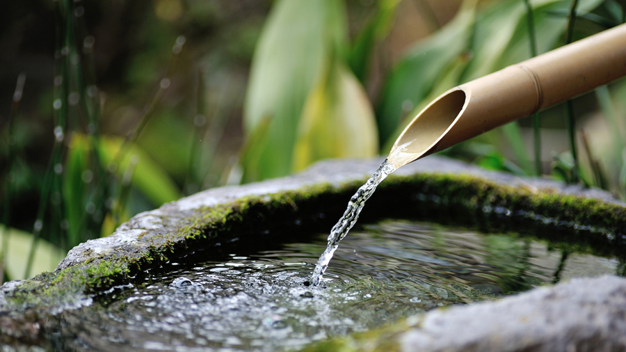Le Kef : Des mesures pour gérer le manque d'eau Le Kef : Des mesures pour gérer le manque d'eau