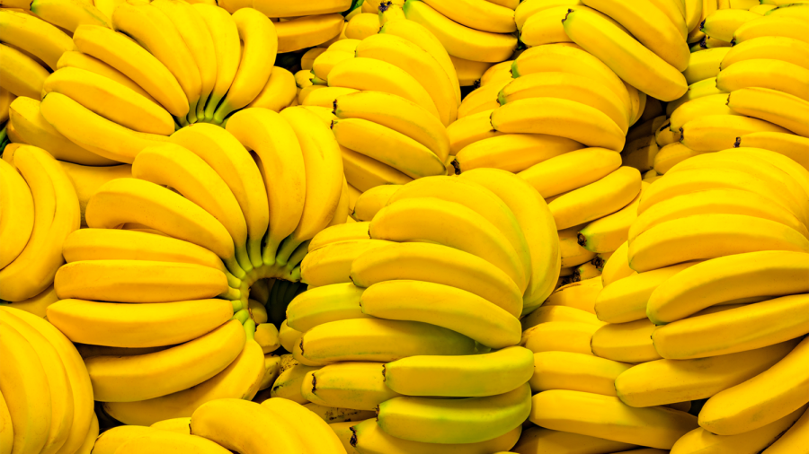 Les bananes "d'Egypte"  à 5d le kilo ... disponibles dès mardi 