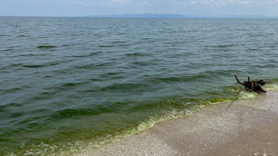 Les vingt-neuf plages impropres à la baignade