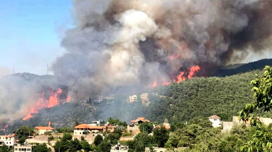 Liban: Important incendie dans la plus grande forêt de pins