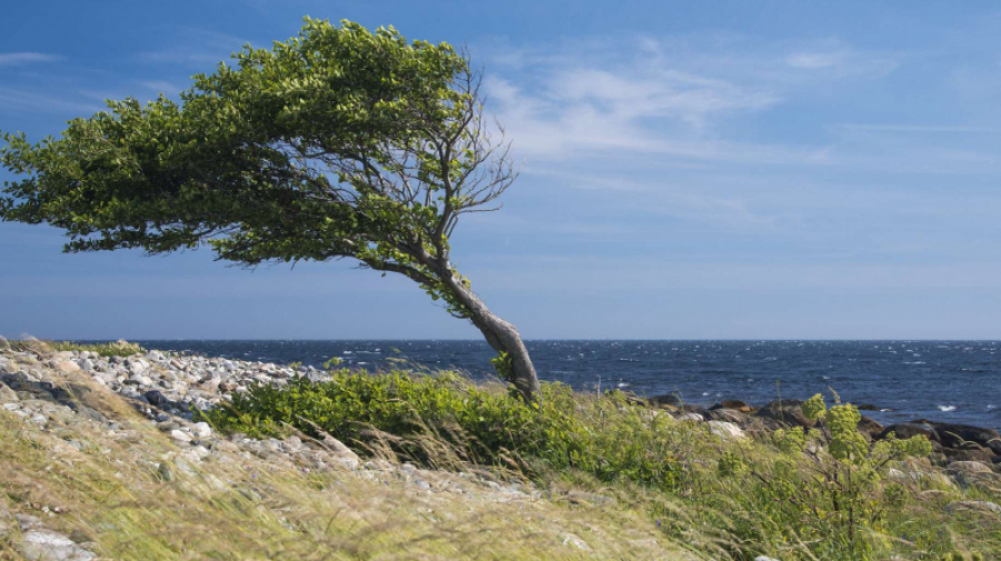 Météo : Baisse des températures et vent fort 