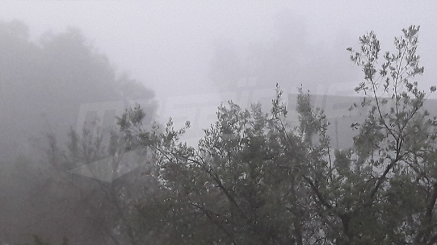 Météo : Brouillard et visibilité réduite 