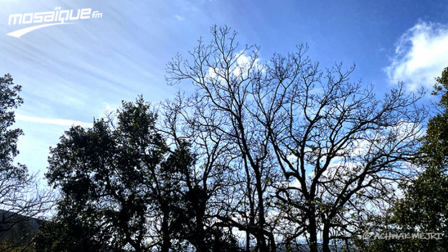 La météo du dimanche 26 mars 2023 Météo MFM