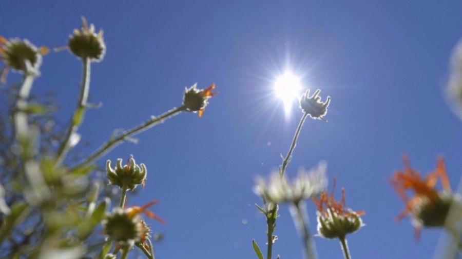 Météo MFM